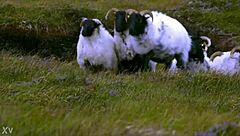 check out the 26 edenists handmade objects group show at tate modern now ongoing