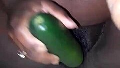 fucking this pregnant ebony pussy with fat cucumber