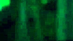 Jazm�n stuart's bold argentinian seduction unleashed