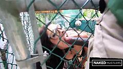 wanna watch bbc train brazilian baddie from pussy to tiger in amazon?