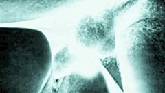 wow vintage hairy beavers tease retro passions!