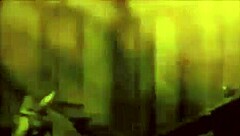 wow vintage hairy beavers tease retro passions!