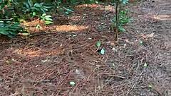 brazilian amateur bares huge ass tiny tits deep in wild bush