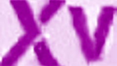 Leila Botwin endures intense anal gagging rimming sloppy throating