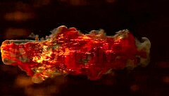 erika's first anal gaping with monster cock closeup