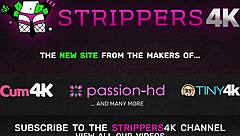 Lost Babe Begs Directions Ends in Facial Cumshots