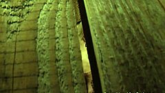 Bent Over Lesbian Slave Masturbates To Orgasm Watching Mistress