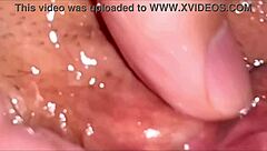 Amateur shaved pink pussy closeup 158 days post-virginity loss ready for licking?