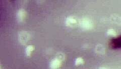 strangers in costumes dive into raw bedroom sex frenzy