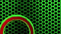 blonde samantha rone poses big tits wet pussy