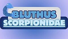 hey ginger milf, love your big ass getting licked then doggystyle hammered before riding that huge cock