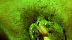 new toy vibrator buzzes my big juicy clit