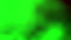 Alice Fire's beautiful blowjob rocked my hotel sex