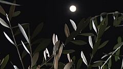 Horny Erotic Manga Body Misono Sakurako Sucks Asian Milf Cock