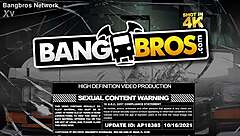 brunette deepthroats before anal pounding