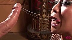 china blue fucked hard doggystyle max mikita huge cock ancient tomb squirting 💦🍆🏛️