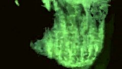 vintage sketches capture erotic antique passion