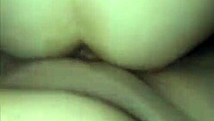 i visit my neighbor with toys again