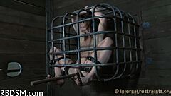 T Beautys' Holes Get Roughly Fucked Hardcore!