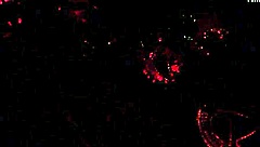 hey, the full mystery series episode with brazil's hottest masked milfs is here now