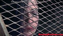 Redhead sub, nipples clamped as vibrator whips you deep?