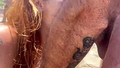 i blew hung dude on beach while everyone watched