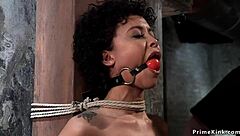 two ebony slaves lick while bound tight
