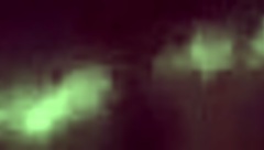 hey watch this bbw suck huge monster cock sloppy deep