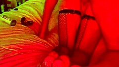 couple homemade anal doggie in fishnets