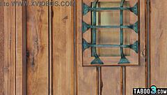 Curious brunette housewife savors first shemale cock lick