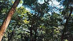 Hot teasing babe loses tight ass virginity outdoors full vid