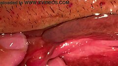 Amateur Shaved Pink Pussy Closeup 172 Days Post Virginity Loss