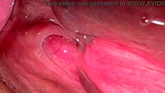 Amateur Shaved Pink Pussy Closeup 172 Days Post Virginity Loss