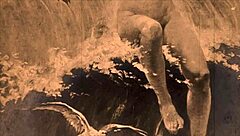 vintage scenes depict erotic bodies in antique passion