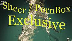 Samantha Reigns Quickfap Cowgirl Facial Cumshot Frenzy