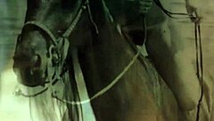 loving vintage hairy pussy outdoors