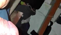 Birthday flashing gift from exhibitionist pornstar!