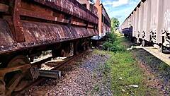 muscular latina ass fucked outdoors bareback