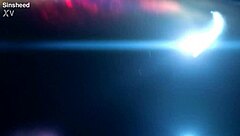 amandha gatta's seductive anal creampie indulgence unfolds