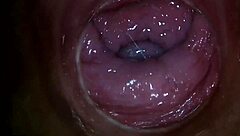 dare to peek deep inside shy paula's pulsing vagina close-up