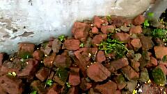 BAAP CAUGHT STEP MOM FUCKED IN JUNGLE!