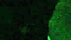 artemisia love's big horny tits bounce wildly on hot solo car ride 🔥🍑