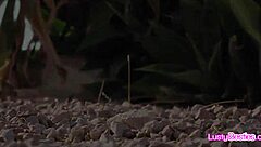 Cosplay Girlfriends Provocatively Share Dildo Cock Party