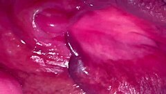 amateur pink pussy closeup 215 days post virginity loss