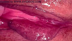 amateur pink pussy closeup 215 days post virginity loss