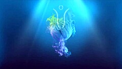 riding or missionary, who wins this wet pussy competition? full vid!