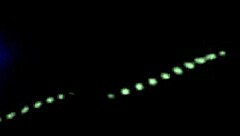 hidden bus jerkoff for firegreen2 with big tits milf