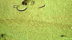 Gorgeous Blonde Teen Agnes Bathes Naked Body Ocean Seduction!