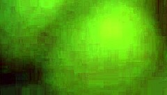 curly ebony lightskin takes rough backshots