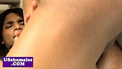 latina shemale's bathroom ass tease turns banging